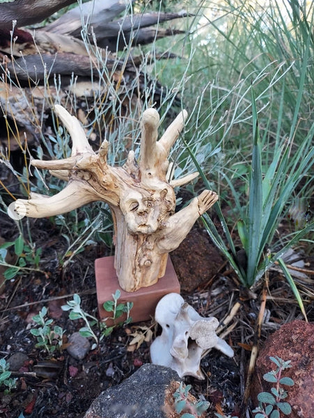 THE OLD ONE SPEAKS by artist Mark Cantrell