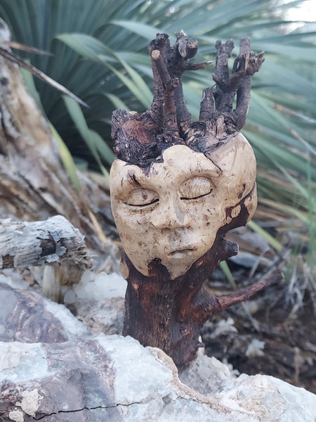 TREE HEART REMEMBERS by artist Mark Cantrell