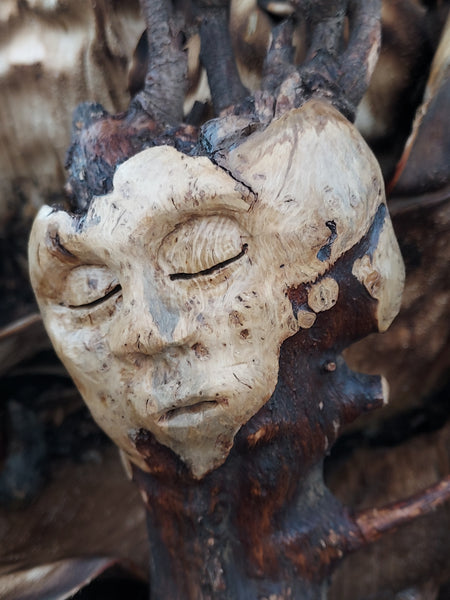 TREE HEART REMEMBERS by artist Mark Cantrell