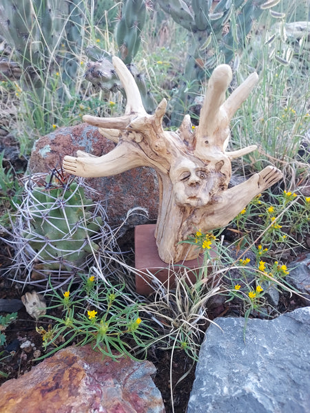 THE OLD ONE SPEAKS by artist Mark Cantrell