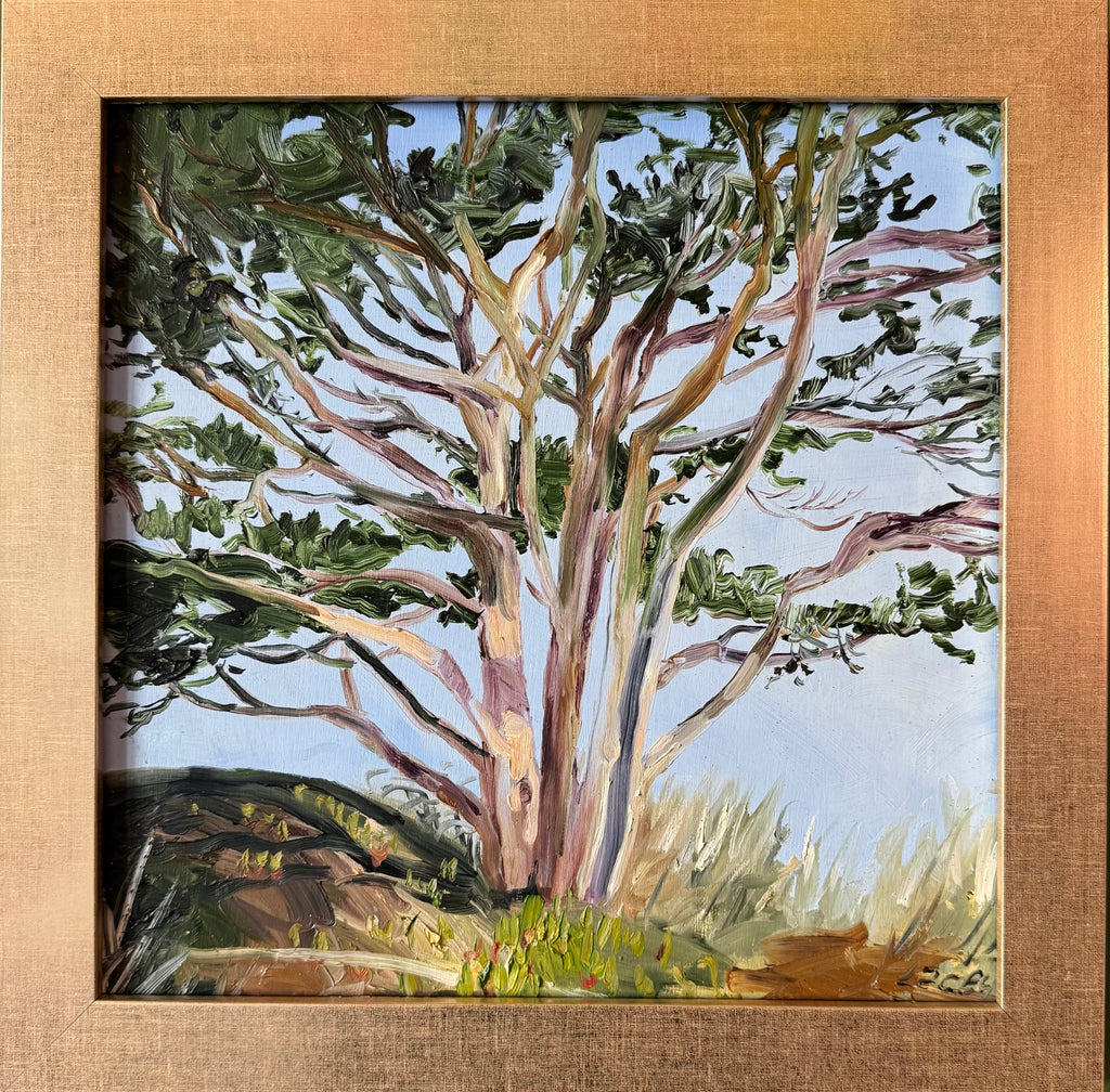 CYPRESS STUDY II by artist Lacey Bryant