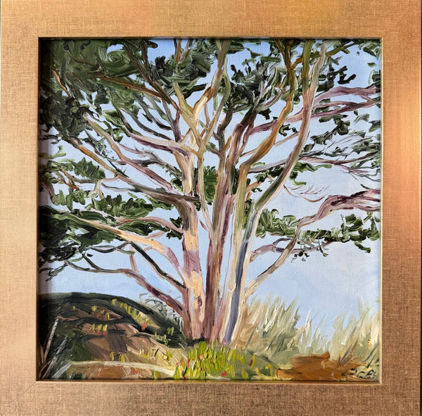 CYPRESS STUDY II by artist Lacey Bryant