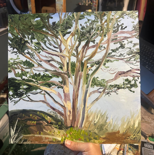 CYPRESS STUDY II by artist Lacey Bryant