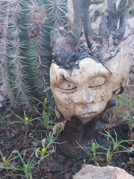 TREE HEART REMEMBERS by artist Mark Cantrell