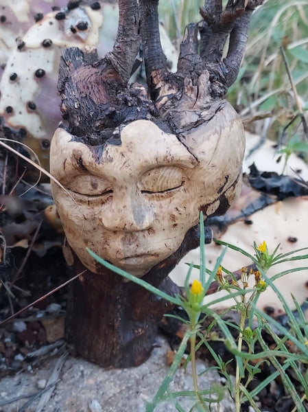 TREE HEART REMEMBERS by artist Mark Cantrell