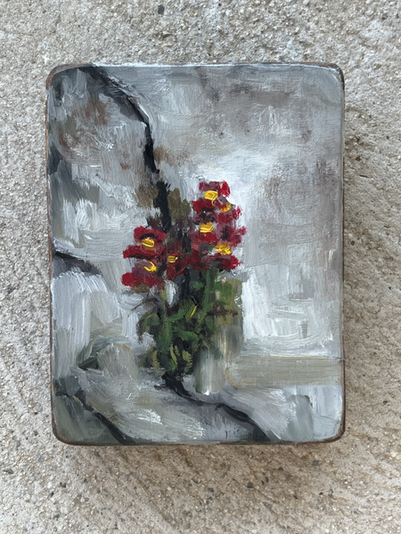SNAPDRAGONS ON A WALL by artist Athanasia Nancy Koutsouflakis