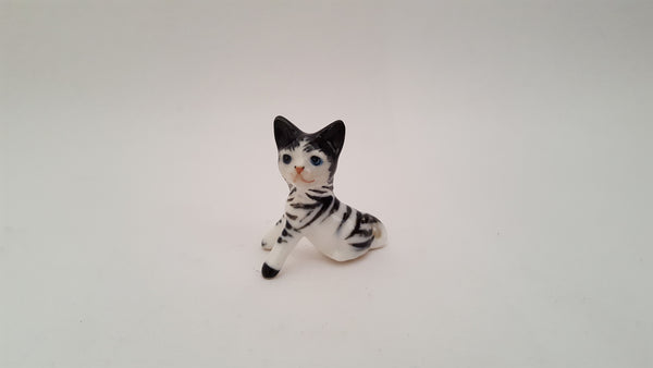 Cat Zebra by Debra Broz