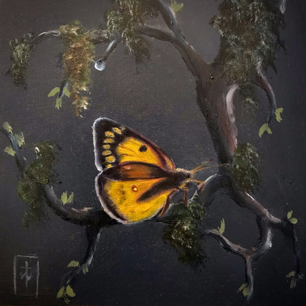 ORANGE SULPHUR by artist Terri Woodward