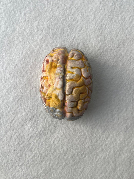 BLUE, RED AND YELLOW BRAIN BROOCHES by artist Francesca Loi of Little Swimmin Machine