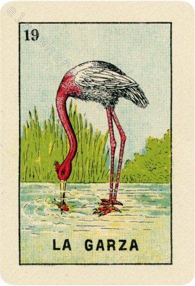 19 LA GARZA (The Heron) by artist Ilaria Vestri of Disfairy