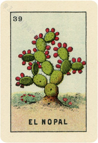 39 EL NOPAL (The Prickly-Pear Cactus) by artist Ángela María Ortiz S.