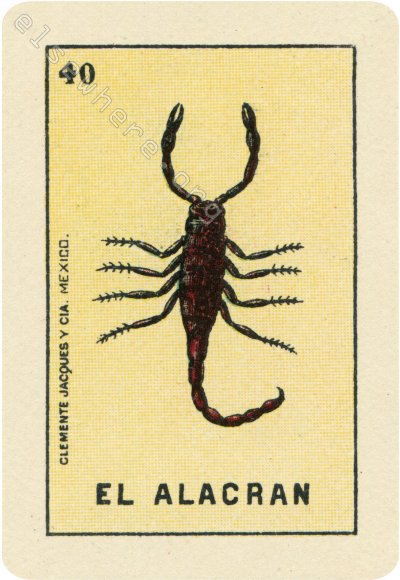 40 EL ALACRÁN (The Scorpion) by Olga Ponomarenko
