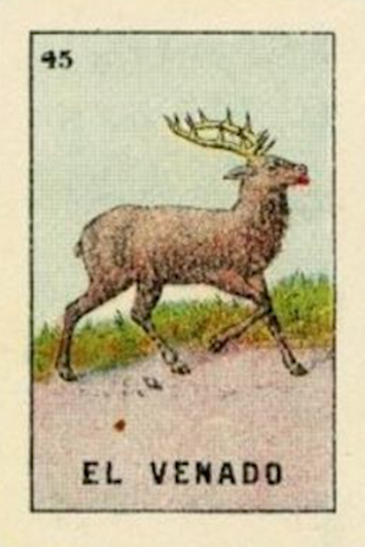 45 EL VENADO (The Deer) by artist Ivonne García