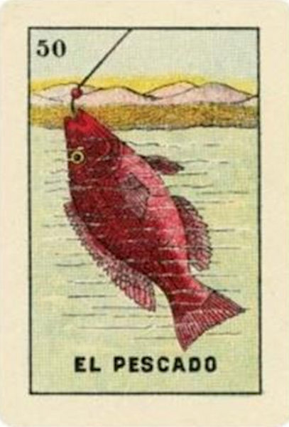 50 EL PESCADO (The Fish) / Allure by artist Terri Woodward