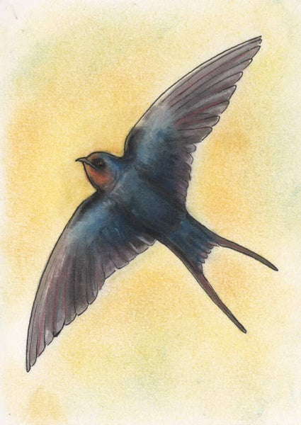 57 LA GOLONDRINA (The Swallow) by artist Emily Gonzáles