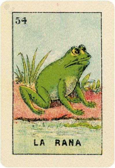 54 LA RANA (The Frog) / La Reina Rana by artist Joan Charles