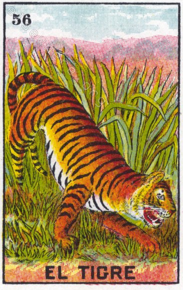 56 EL TIGRE (The Tiger) by artist Emily Gonzáles