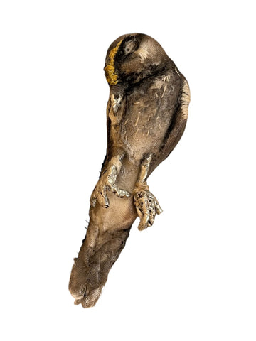 PERCIVAL WREN (bird brooch) by artist Disfairy