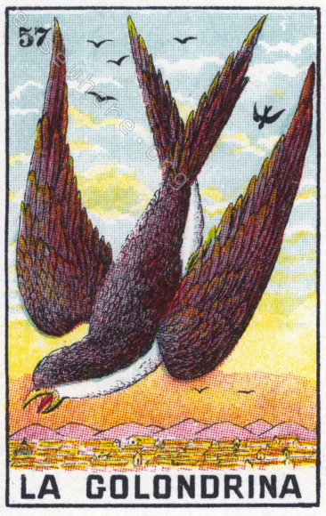57 LA GOLONDRINA (The Swallow) by artist Ivonne García