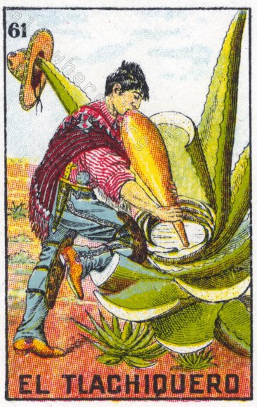 61 EL TLACHIQUERO (The Agave Harvester) / Noble Nectar by artist Jaclyn Alderete