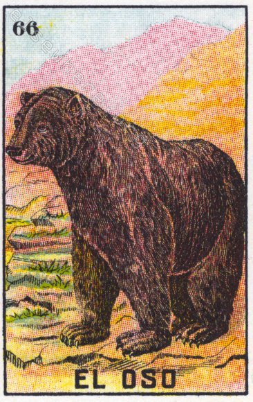 66 EL OSO (The Bear) by artist Ilaria Vestri of Disfairy