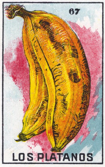 67 LOS PLATANOS (The Plantains) by artist Terri Woodward