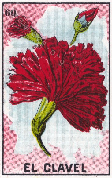 69 EL CLAVEL (The Carnation) by artist Fran De Anda
