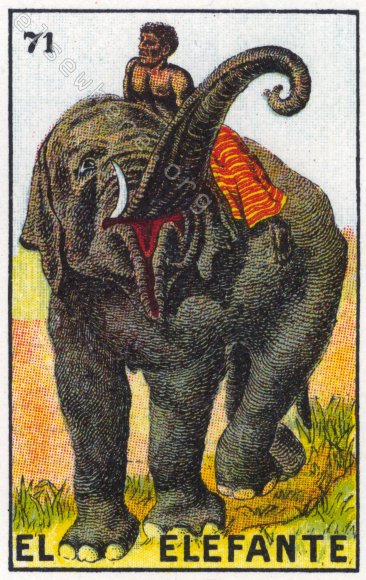 71 EL ELEFANTE (The Elephant) / Cecil the Circus Elephant Shrew by artist Julie B