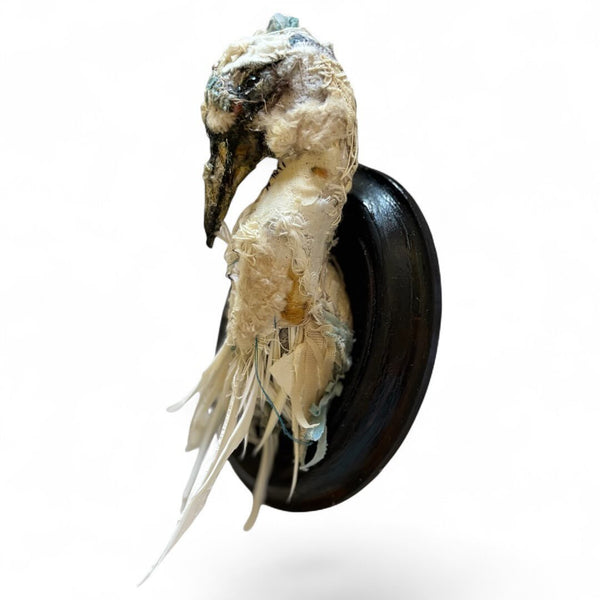 19 LA GARZA (The Heron) by artist Ilaria Vestri of Disfairy