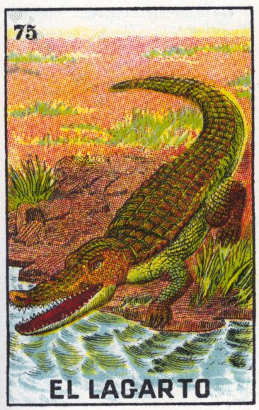 75 EL LAGARTO (The Alligator) by artist Nora Thompson