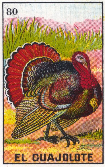 80 EL GUAJOLOTE (The Turkey) by artist Kahla Lewis