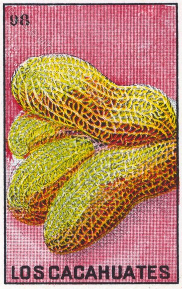 98 LOS CACAHUATES (The Peanuts) by artist Charlotte Sigurdson