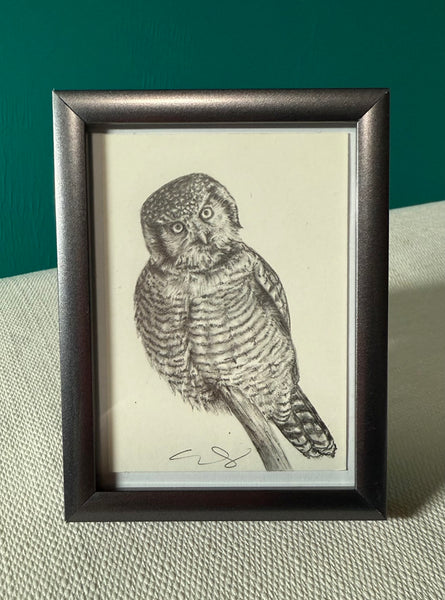 HOOT ARE YOU? by artist Emily Gonzáles