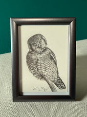 HOOT ARE YOU? by artist Emily Gonzáles