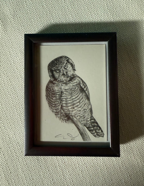 HOOT ARE YOU? by artist Emily Gonzáles