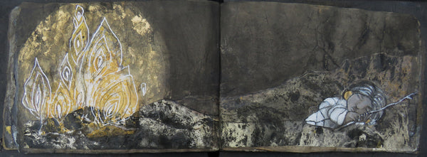 FIRE (book) by artist Patricia Krebs