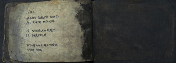 FIRE (book) by artist Patricia Krebs