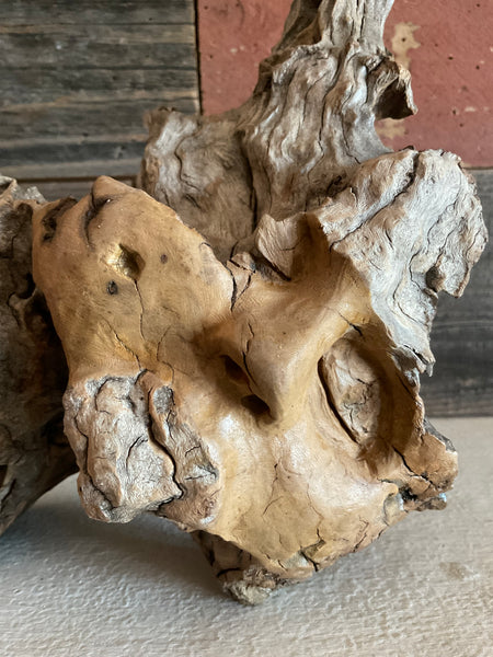 WOOD NYMPH SLEEPS by artist Mark Cantrell