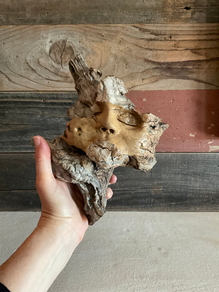 WOOD NYMPH SLEEPS by artist Mark Cantrell