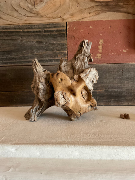 WOOD NYMPH SLEEPS by artist Mark Cantrell