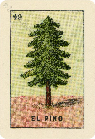 49 EL PINO (The Pine Tree) by artist Patrick Thai