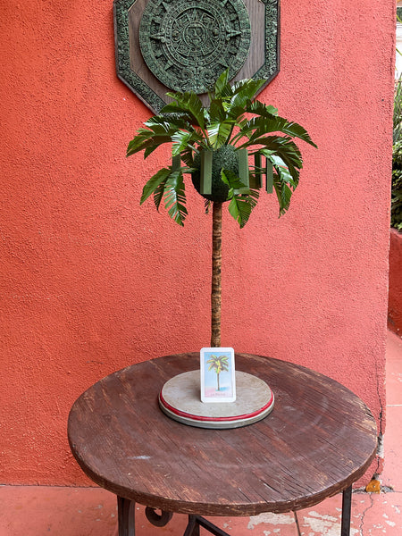 51 LA PALMA (The Palm Tree) / Palma 5G by artist Lani Tunzi