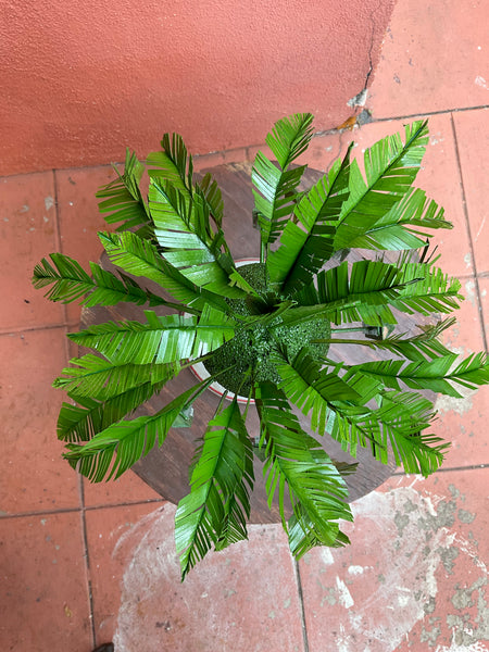 51 LA PALMA (The Palm Tree) / Palma 5G by artist Lani Tunzi
