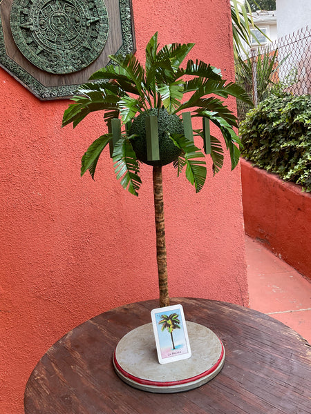 51 LA PALMA (The Palm Tree) / Palma 5G by artist Lani Tunzi