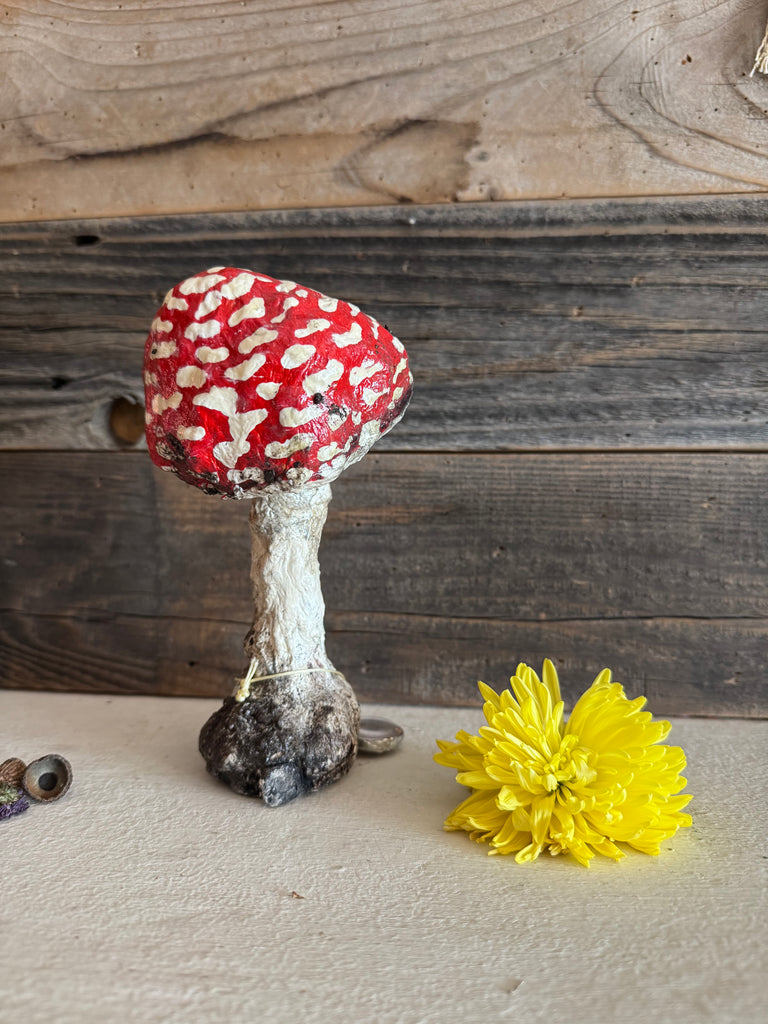 MUSHROOM by artist Disfairy