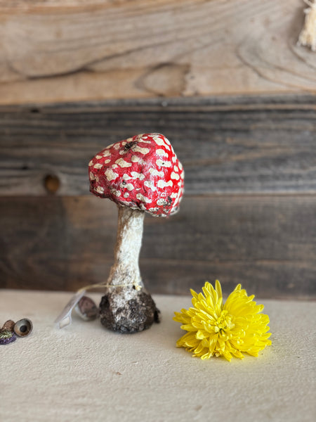 MUSHROOM by artist Disfairy