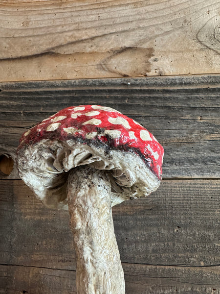 MUSHROOM by artist Disfairy