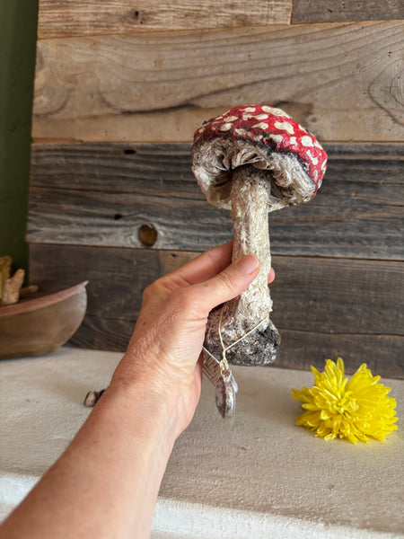 MUSHROOM by artist Disfairy