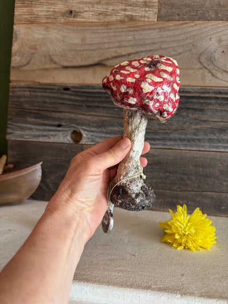 MUSHROOM by artist Disfairy