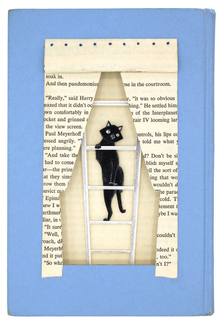 7 LA ESCALERA (The Ladder) / Peeping Tom by artist Valerie Savarie